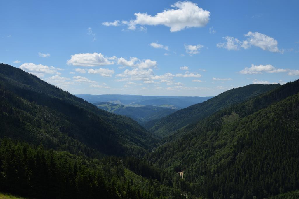 Apartmanovy Dom Romantika - Apartman 5 Tale Buitenkant foto